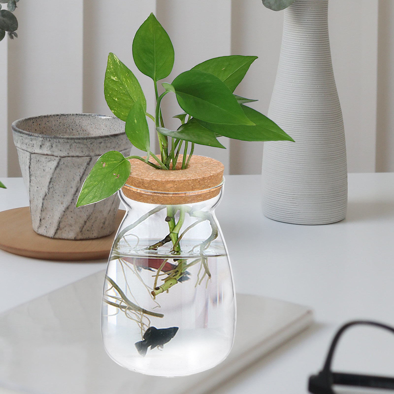 Planted Aquarium With Gravel - Glass Terrarium Jar Transparent Ecosystem Container