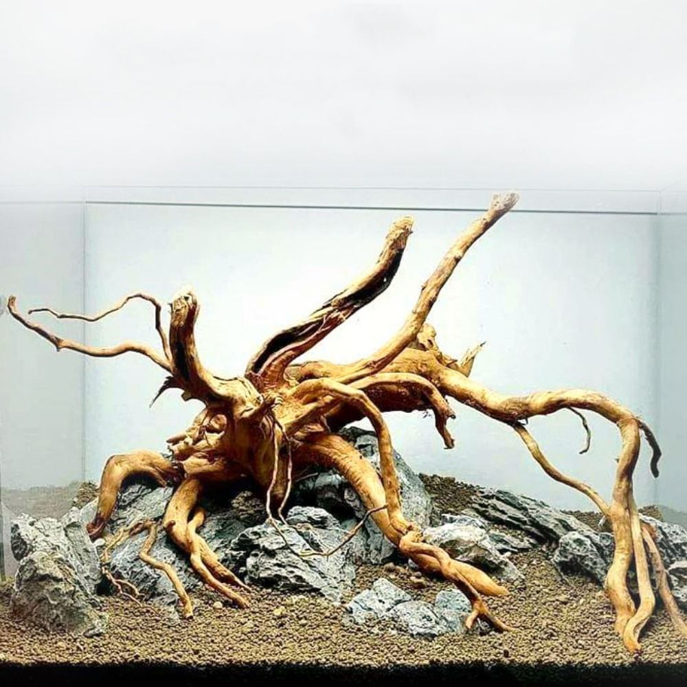 Aquarium Planted Substrate - Natural Tree Trunk Aquarium Decoration Wood