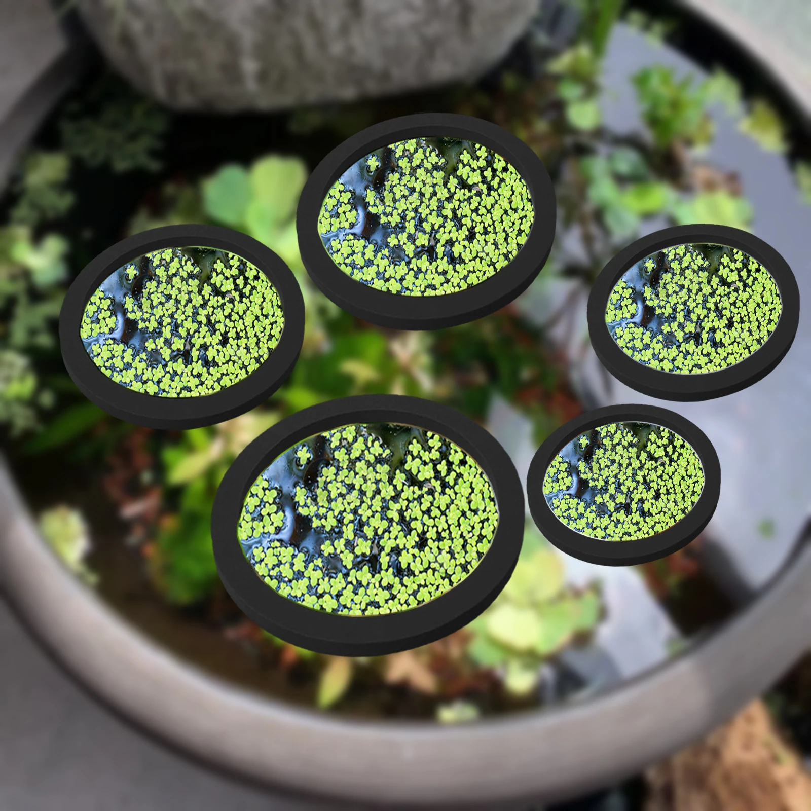 Aquarium Plant Original - 5Pcs EVA Fish Feeding Ring Aquarium