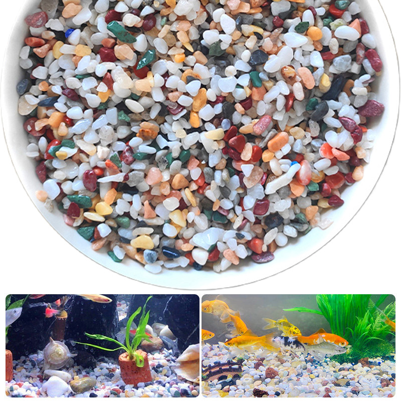 Planted Aquarium With Gravel - Natural Gravel Stone 200~1000g Micro Landscape