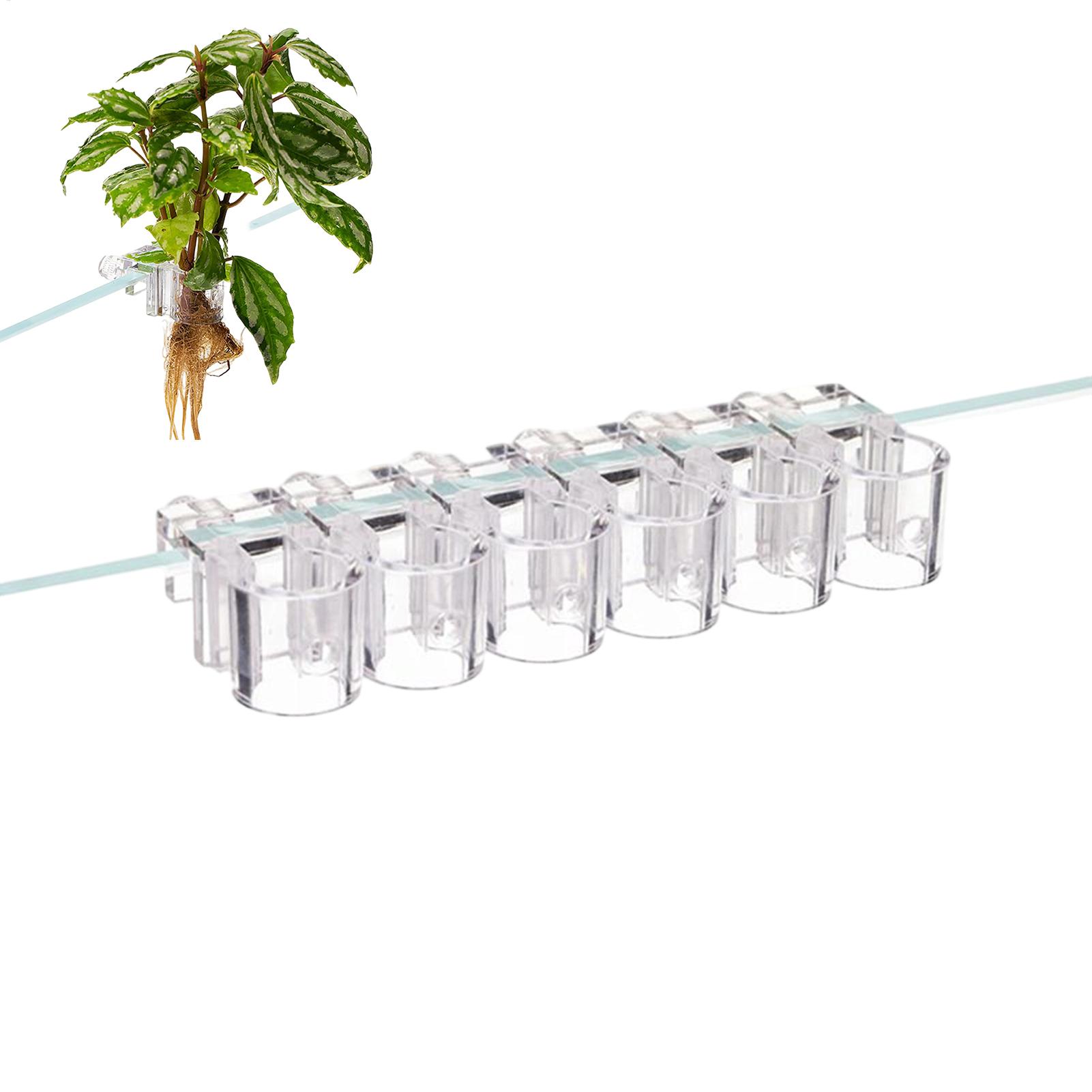 Planted Aquarium Mini - Mini Fish Tank Planter Pot 6Pcs
