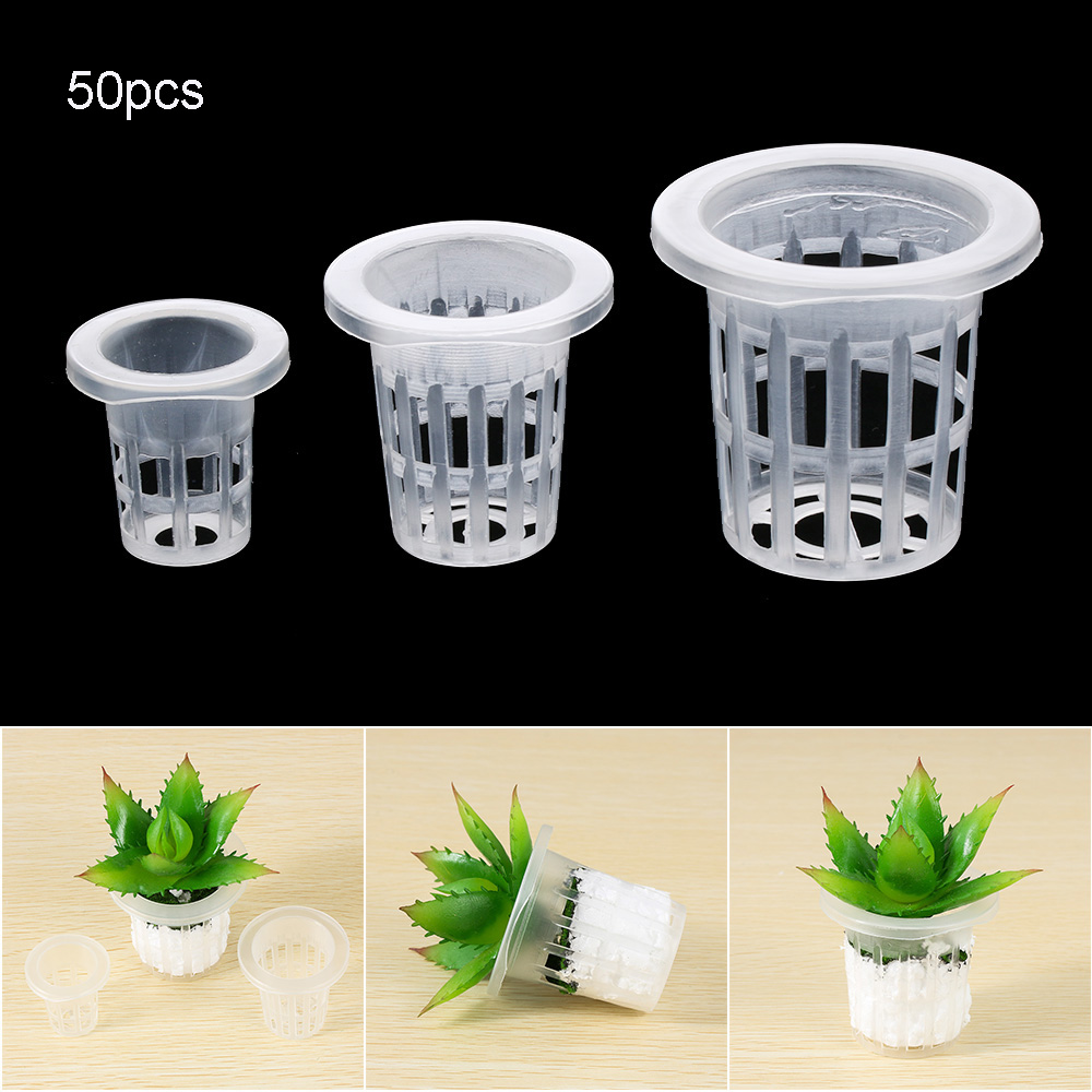 Aquarium Plant Seeds - 10/50pcs Garden Supplies Aquarium Planting Soilless