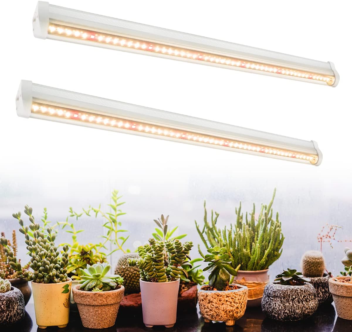 Aquarium Plant Seeds - LED Grow Lamp Plant Full Spectrum