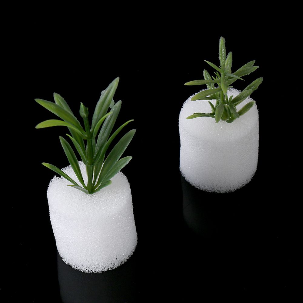Aquarium Plant Seeds - 10/50pcs Durable Planting Aquarium Seed Trays