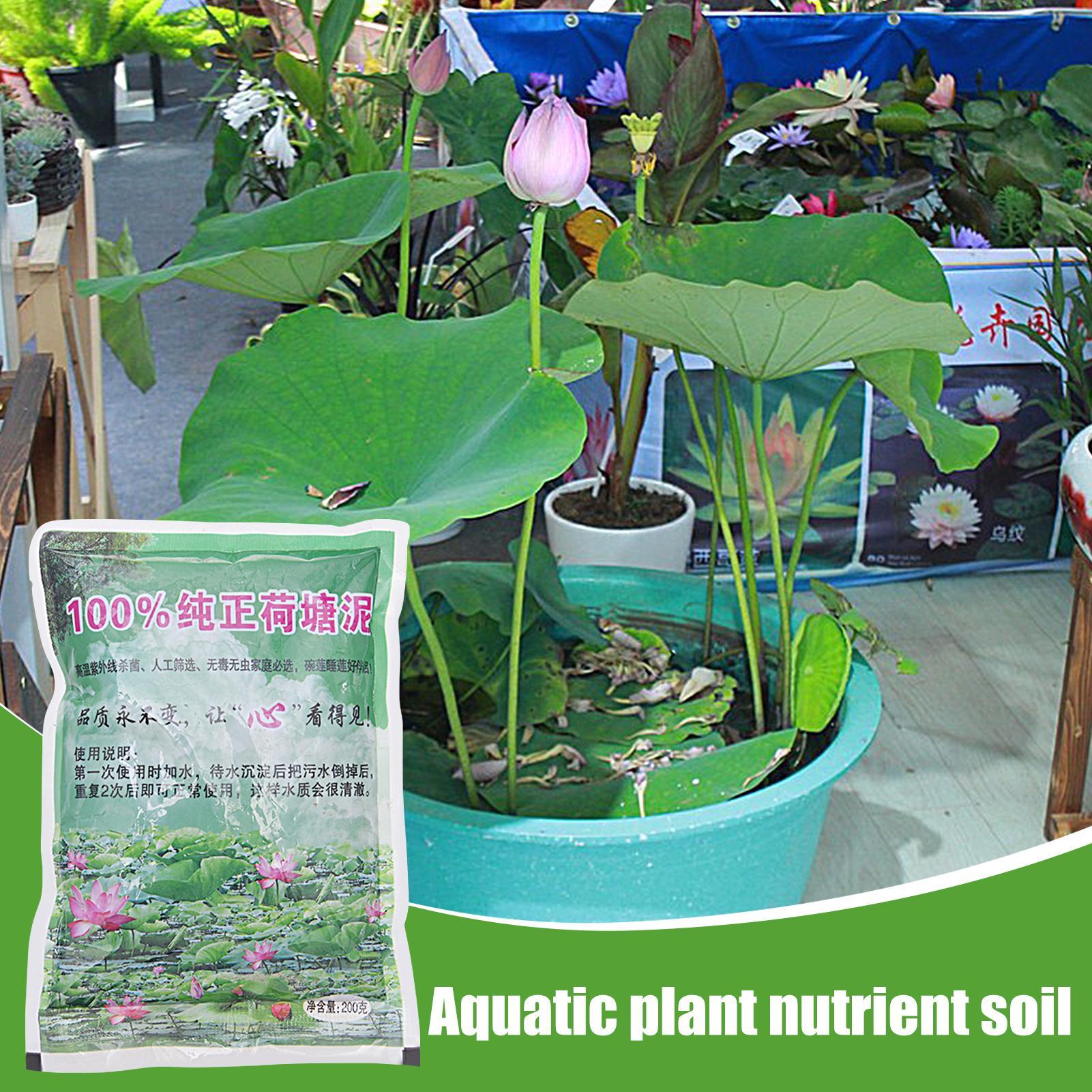Aquarium Plant Seeds - Aquatic Pond Nutrition Clay Soil, Special