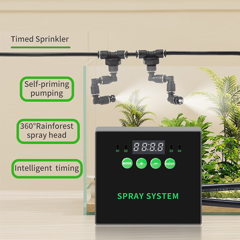 Planted Aquarium Tank Kit - Water Plant Aquarium Rainforest Fish Tank