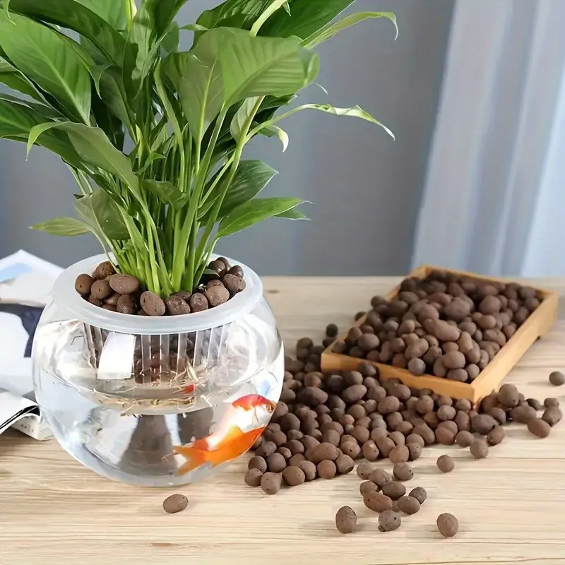 Lightweight & Breathable Terra - Aquarium Plant Original ulasan dan harga