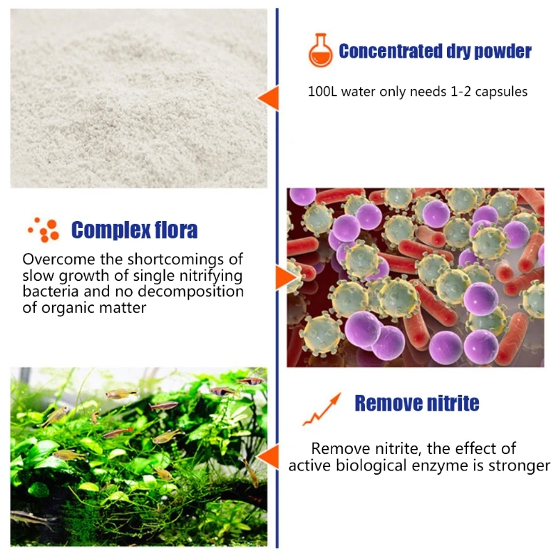 50Pcs/Bottle Aquarium Tank Nit - Aquarium Plant Seeds ulasan dan harga