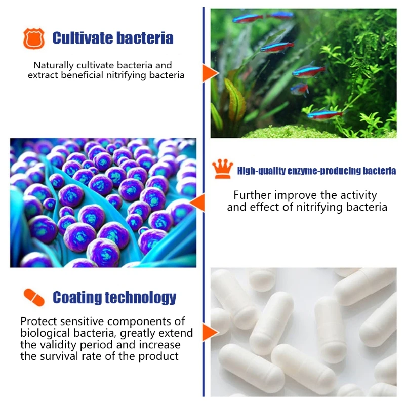 50Pcs/Bottle Aquarium Tank Nit - Aquarium Plant Seeds ulasan dan harga