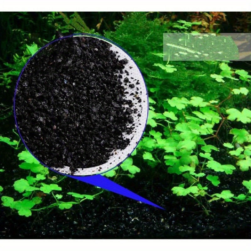300g Gorgeous Aquarium Decorat - Aquarium Plant Seeds ulasan dan harga
