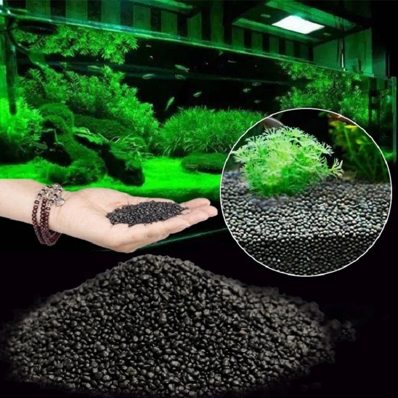 Fish Tank Water Grass Mud Plan - Aquarium Plant Seeds ulasan dan harga