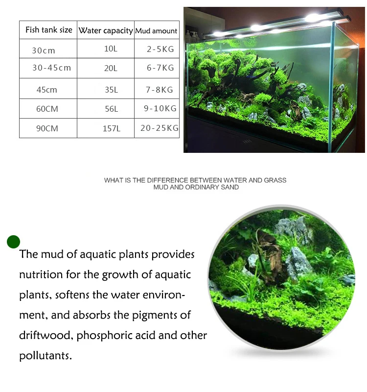 Fish Tank Water Grass Mud Plan - Aquarium Plant Seeds ulasan dan harga