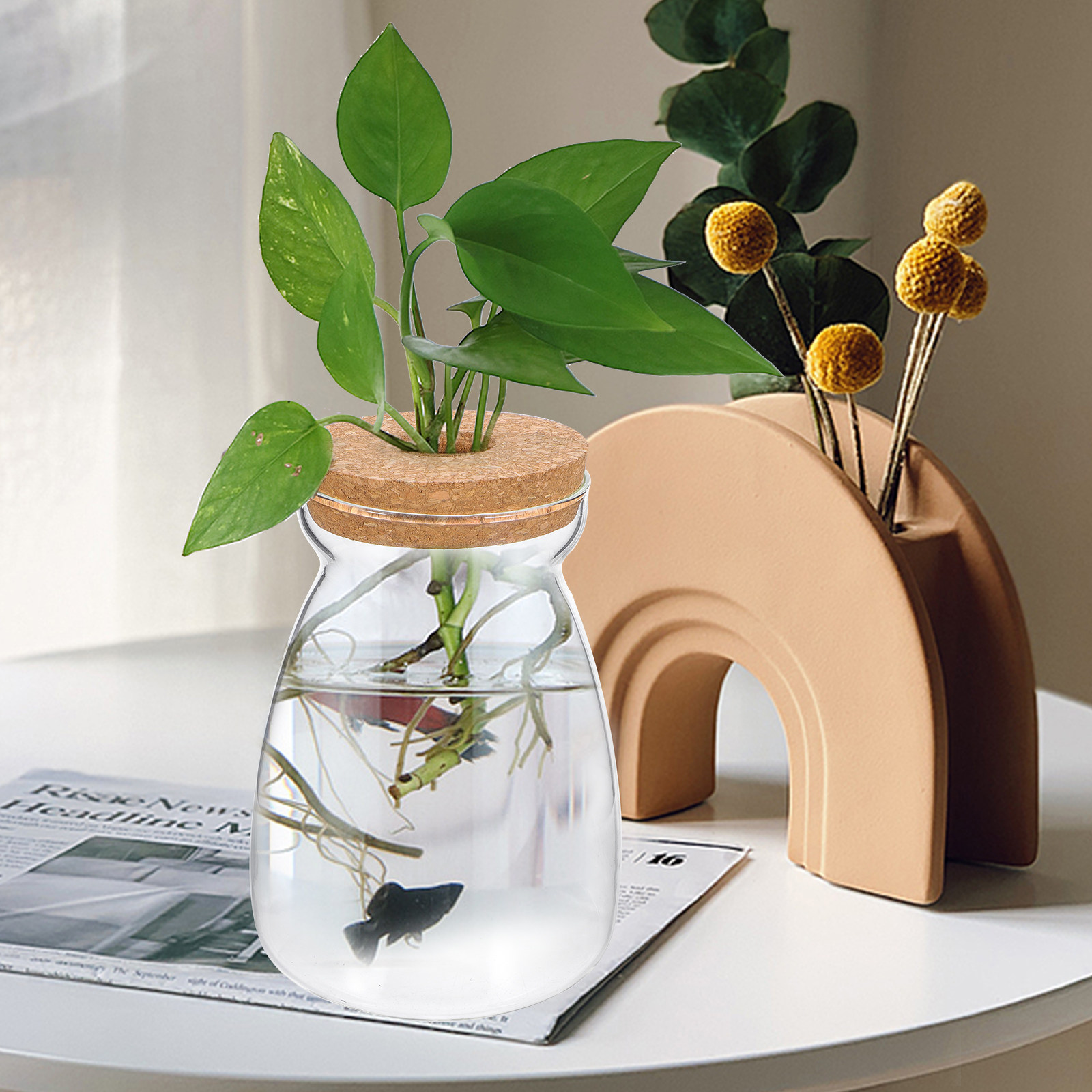 Glass Terrarium Jar Transparen - Planted Aquarium With Gravel ulasan dan harga