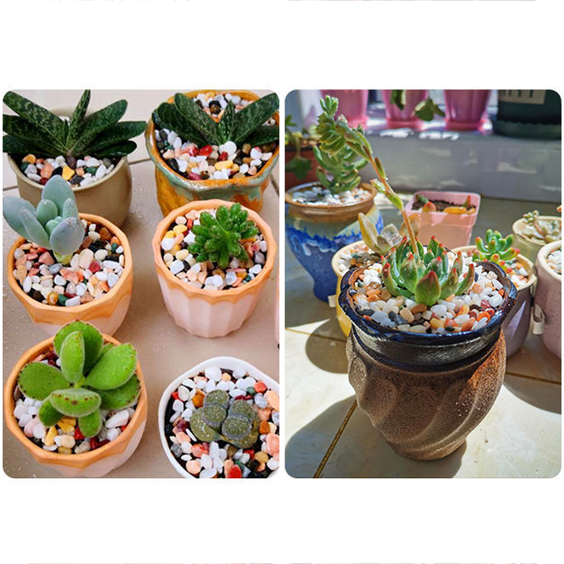 5mm Natural Aquarium Sand 200g - Planted Aquarium With Gravel ulasan dan harga