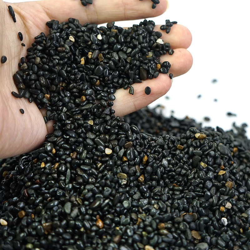 WAJABABY Black Aquarium Substr - Aquarium Plant Seeds ulasan dan harga
