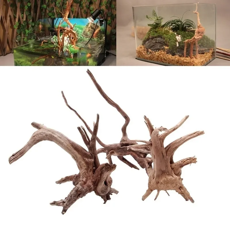 Natural Tree Trunk Driftwood A - Aquarium Planted Substrate ulasan dan harga