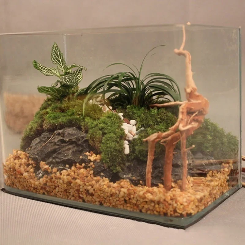 Natural Tree Trunk Driftwood A - Aquarium Planted Substrate ulasan dan harga