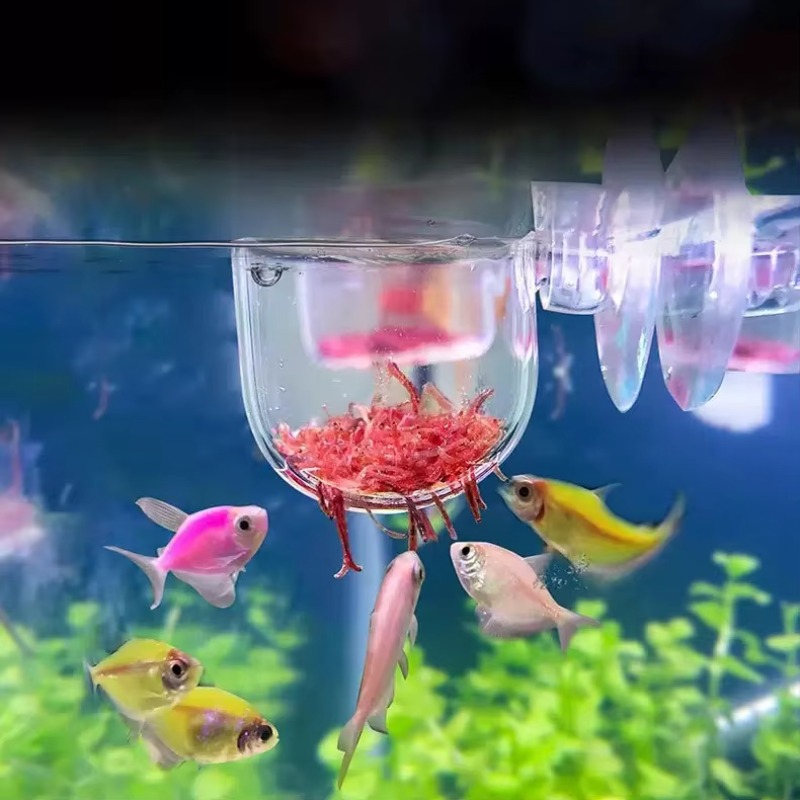 Factory Aquarium Decoration Ha - Aquarium Plant Factory ulasan dan harga