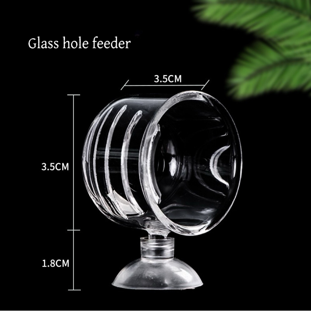 Factory Aquarium Decoration Ha - Aquarium Plant Factory ulasan dan harga