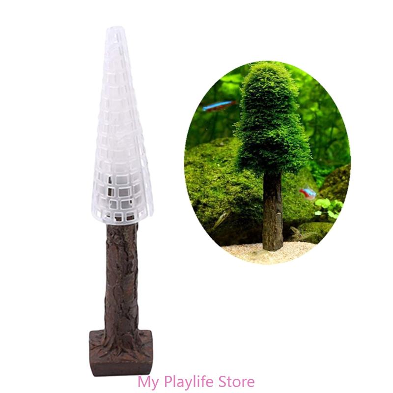 Aquarium Moss Decoration Fish  - Planted Aquarium Mini ulasan dan harga