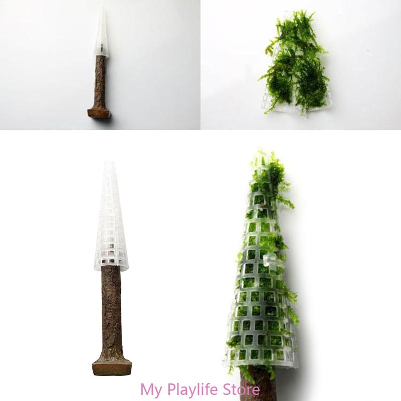 Aquarium Moss Decoration Fish  - Planted Aquarium Mini ulasan dan harga
