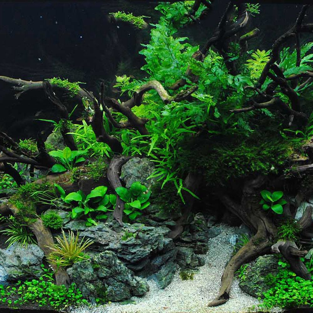 Wood N1N Reptile Tank Backgrou - Aquarium Planted Substrate ulasan dan harga