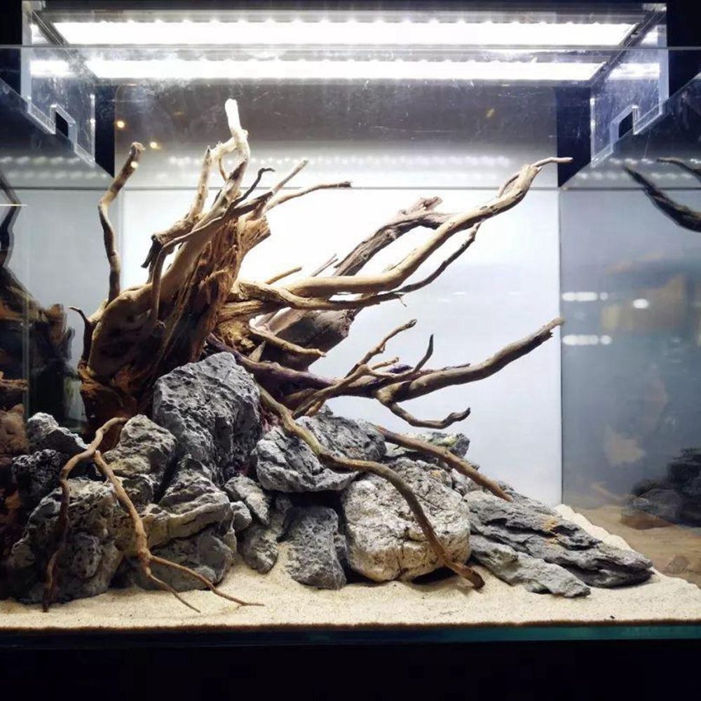 Wood N1N Reptile Tank Backgrou - Aquarium Planted Substrate ulasan dan harga