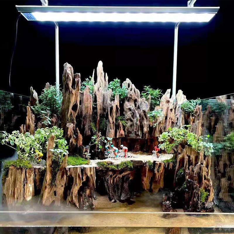 Shrimp Wood Aquarium Decor, Dr - Aquarium Planted Substrate ulasan dan harga