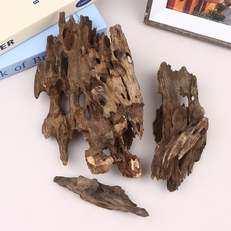 Shrimp Wood Aquarium Decor, Dr - Aquarium Planted Substrate ulasan dan harga