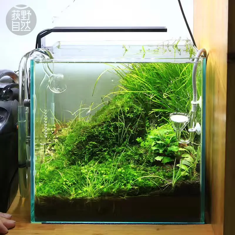 Chihiros C Series ADA Style Pl - Planted Aquarium Mini ulasan dan harga