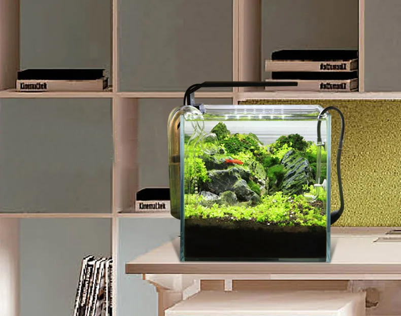 Chihiros C Series ADA Style Pl - Planted Aquarium Mini ulasan dan harga