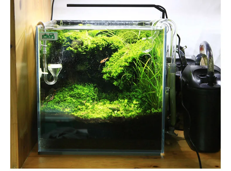 Chihiros C Series ADA Style Pl - Planted Aquarium Mini ulasan dan harga