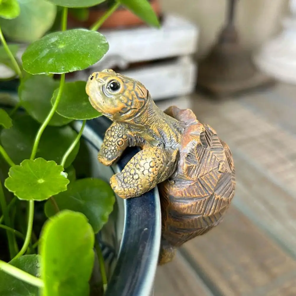 Fishing Turtle Hanging Turtle  - Aquarium Plant Original ulasan dan harga