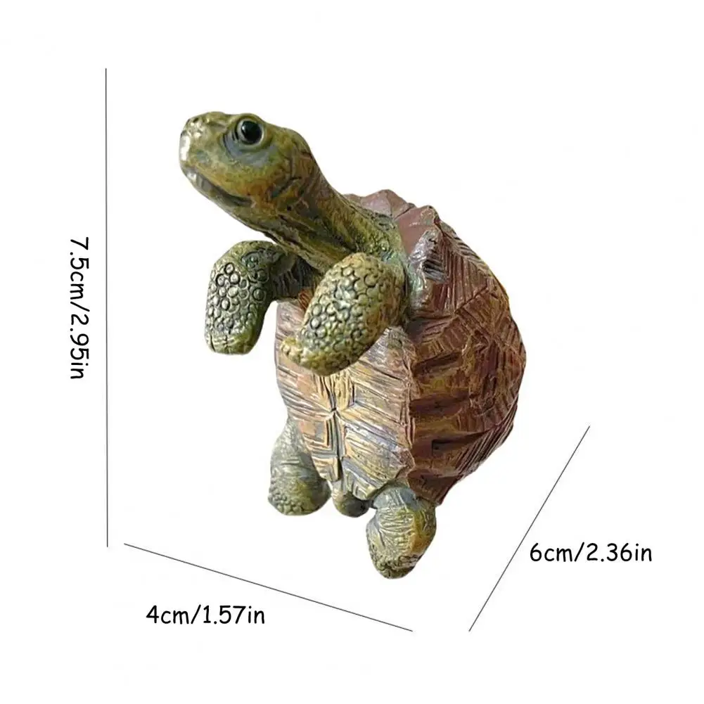 Fishing Turtle Hanging Turtle  - Aquarium Plant Original ulasan dan harga