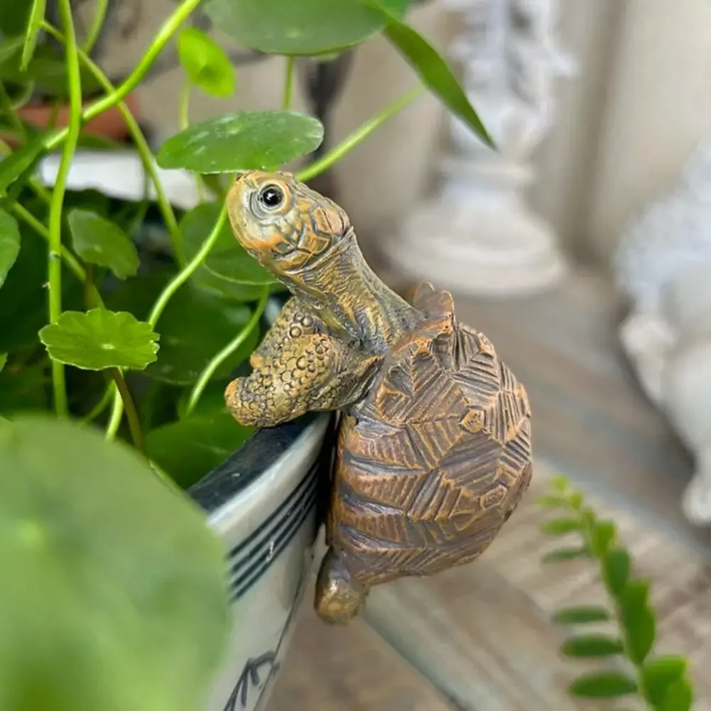 Fishing Turtle Hanging Turtle  - Aquarium Plant Original ulasan dan harga