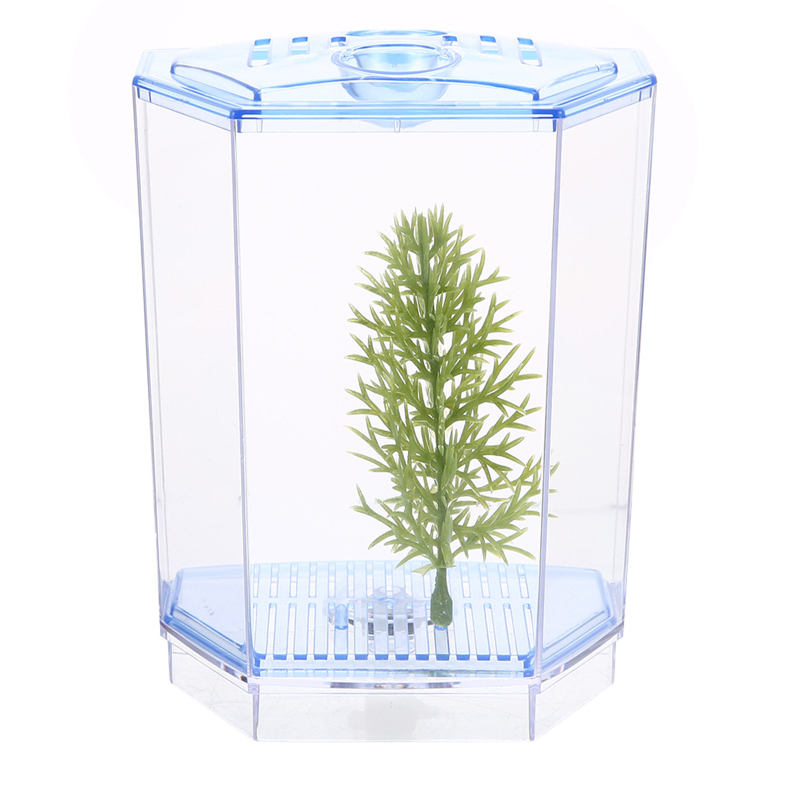 Mini Fish Tank Clear Plastic A - Planted Aquarium Mini ulasan dan harga