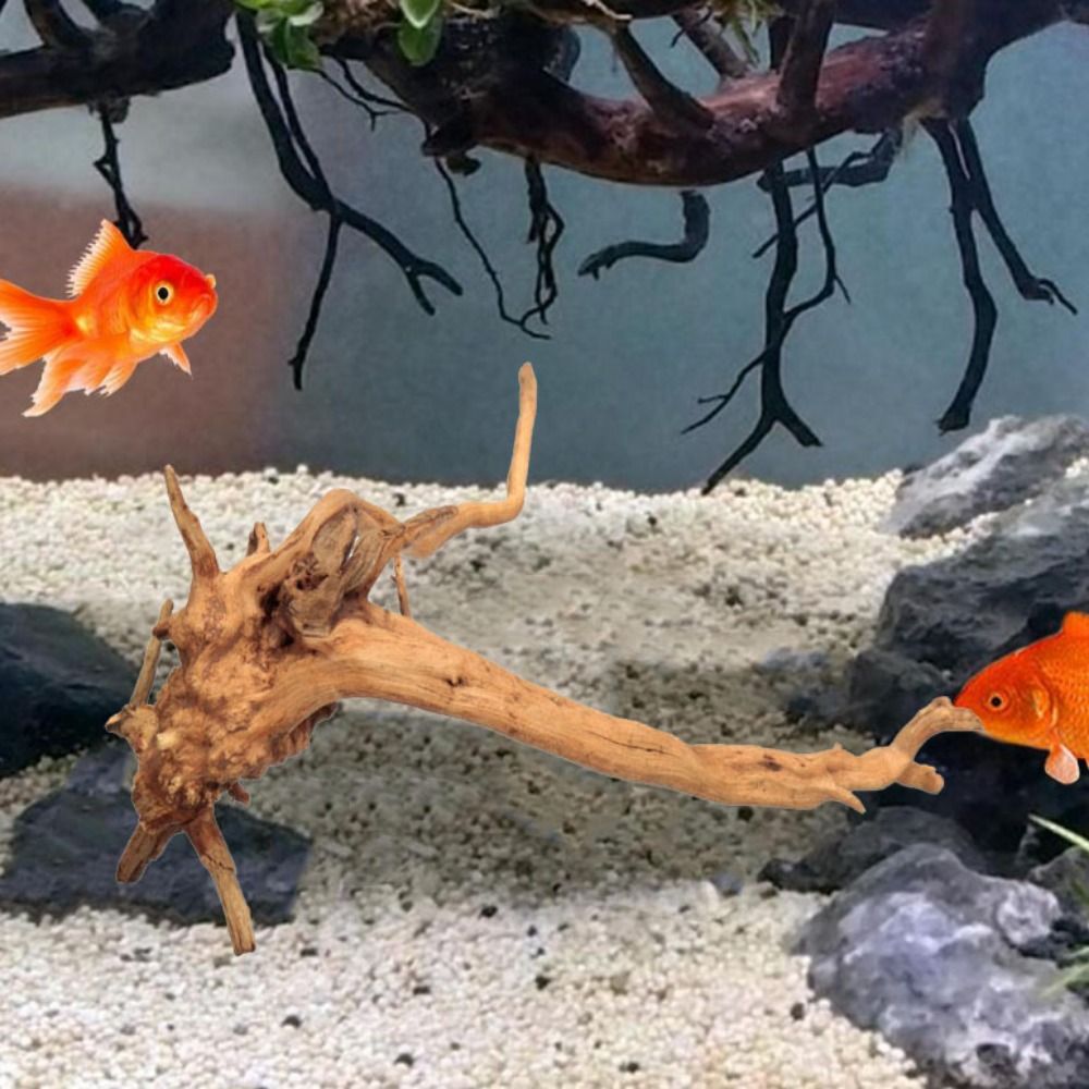 Natural Tree Trunk Aquarium De - Aquarium Planted Substrate ulasan dan harga