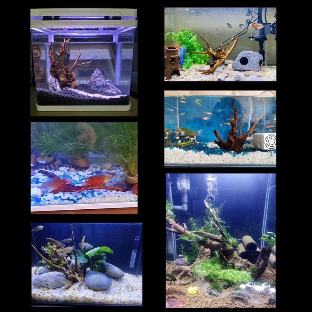 Natural Tree Trunk Aquarium De - Aquarium Planted Substrate ulasan dan harga