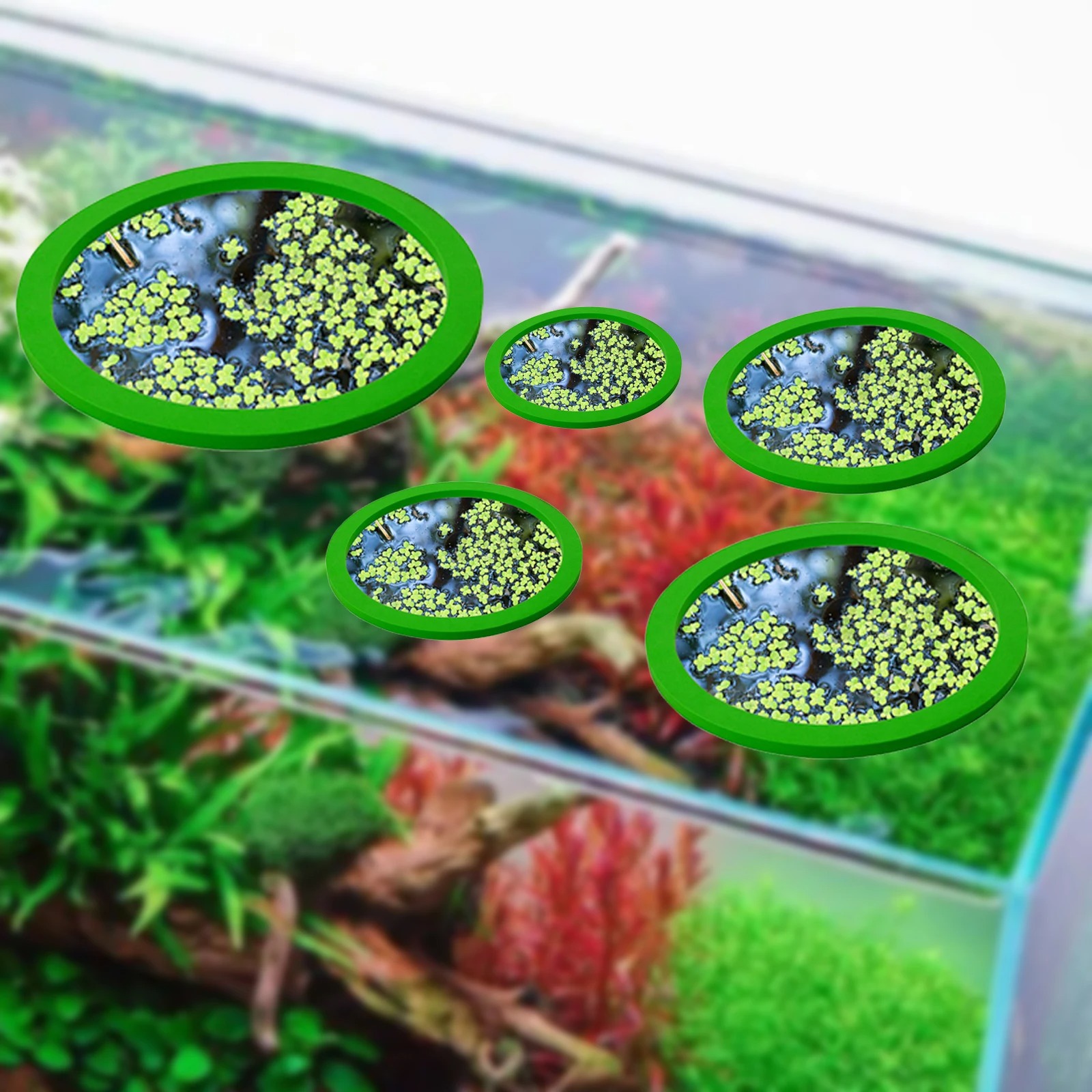 5Pcs EVA Fish Feeding Ring Aqu - Aquarium Plant Original ulasan dan harga