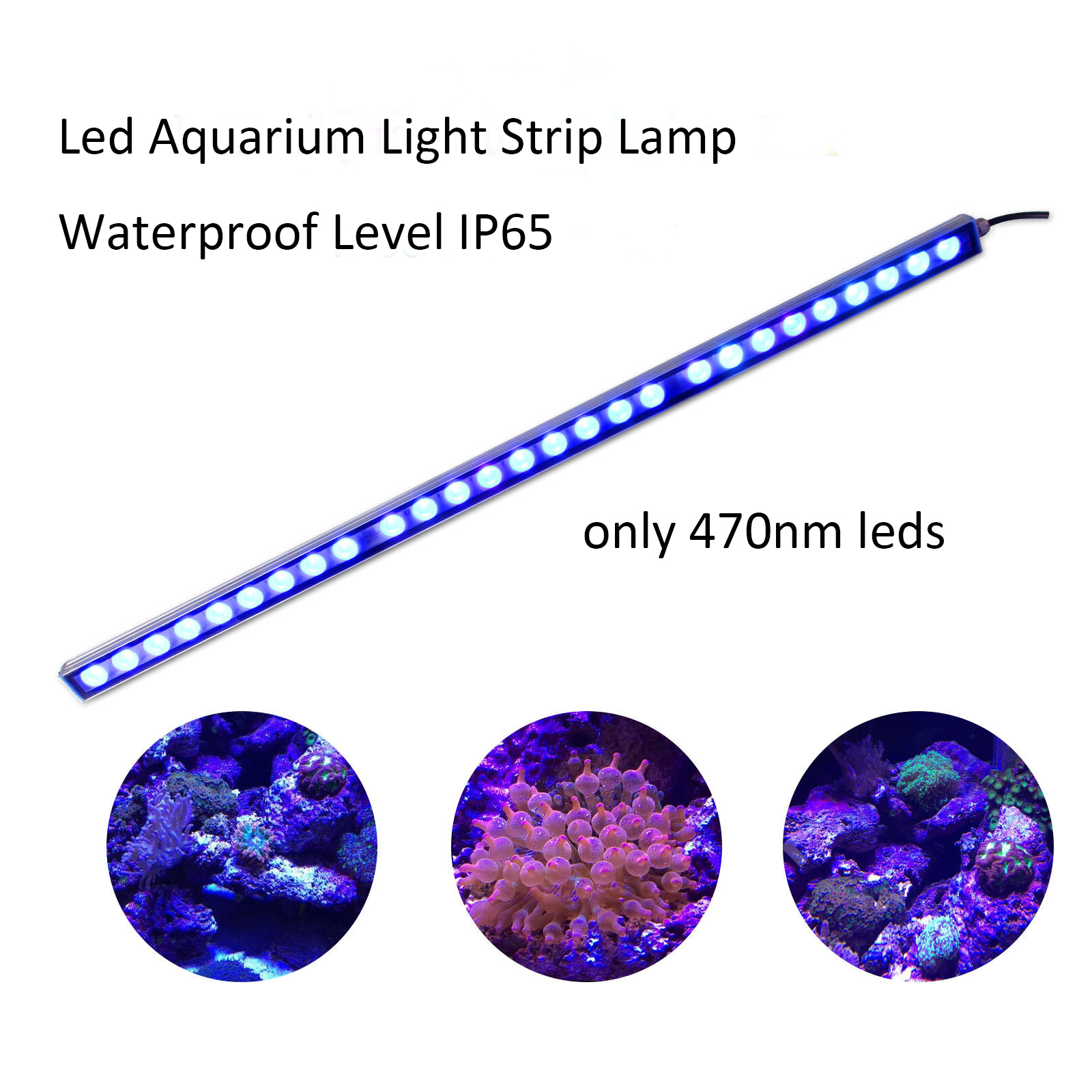54W 81W 108W LED Bar Light IP6 - Aquarium Plant Growth Light ulasan dan harga