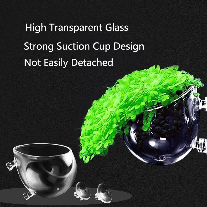 Glass Aquarium Decoration Hang - Planted Aquarium Mini ulasan dan harga