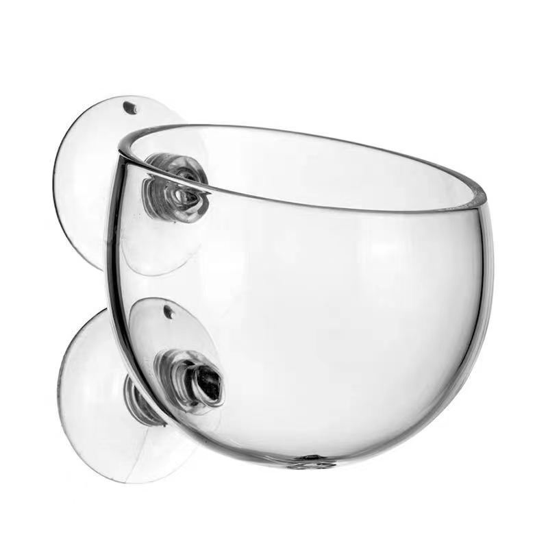 Glass Aquarium Decoration Hang - Planted Aquarium Mini ulasan dan harga
