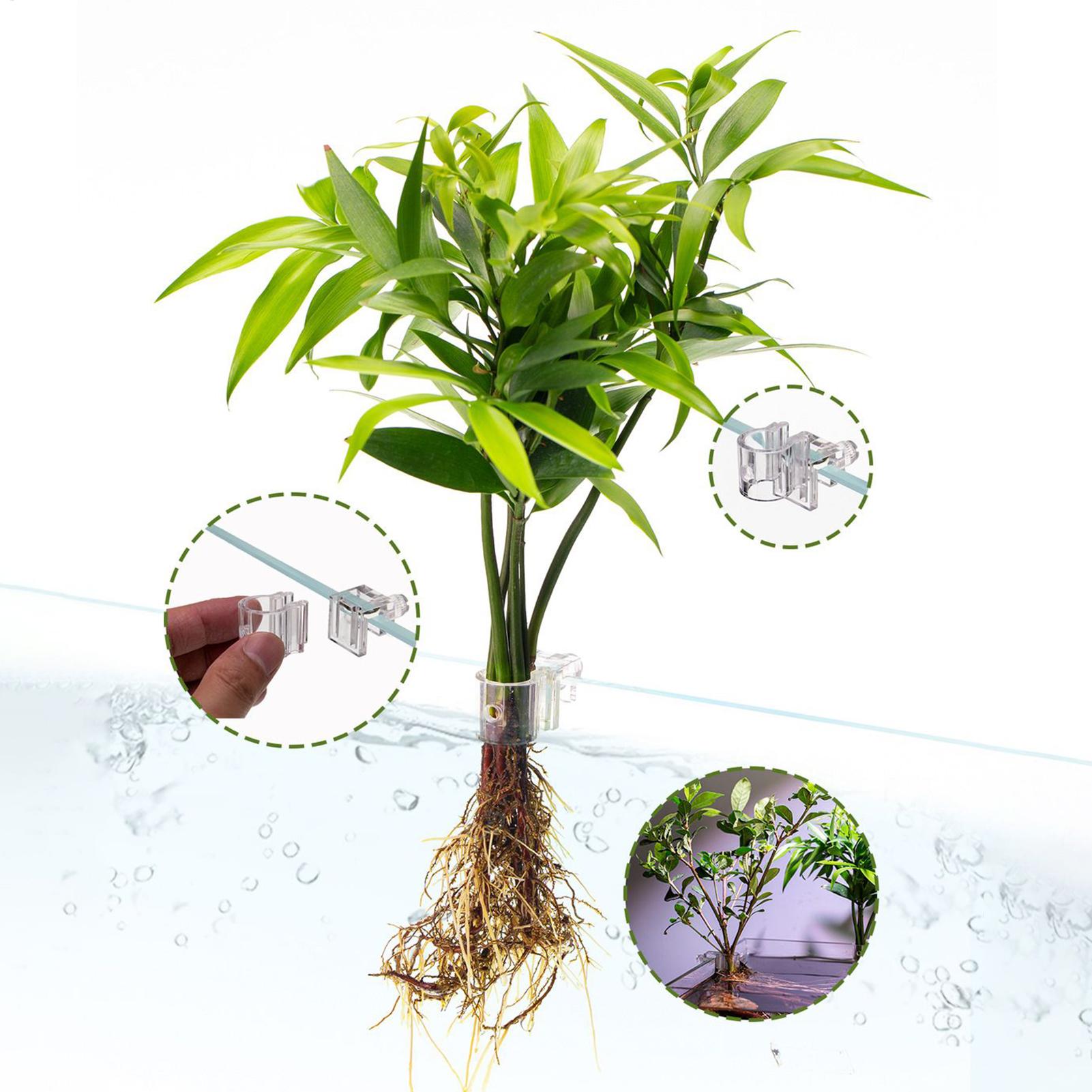 Mini Fish Tank Planter Pot 6Pc - Planted Aquarium Mini ulasan dan harga