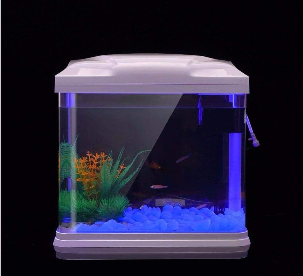 Fish Tank Rocks Glow Blue Pebb - Aquarium Plant Original ulasan dan harga