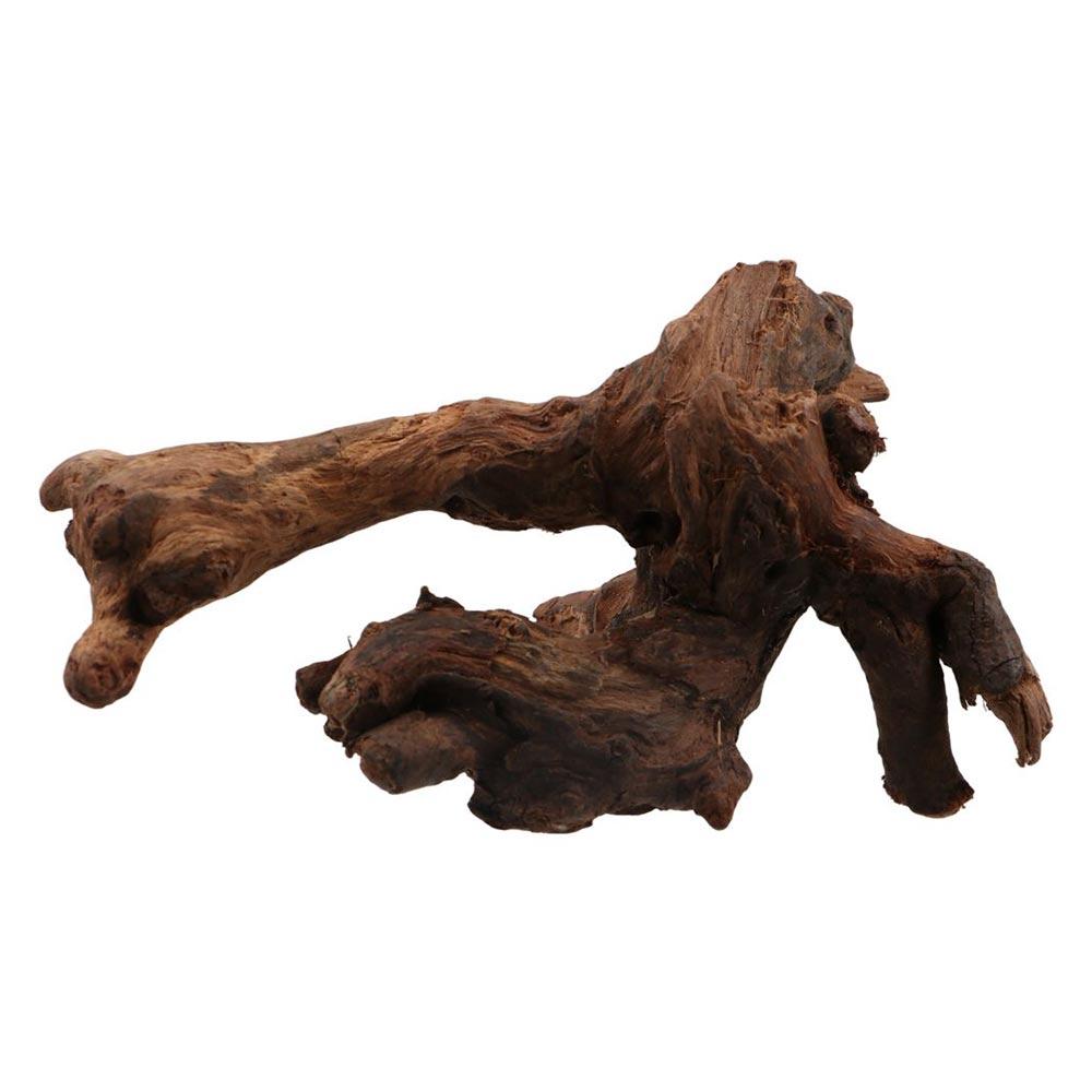 Creative Irregular Shape Coral - Aquarium Planted Substrate ulasan dan harga
