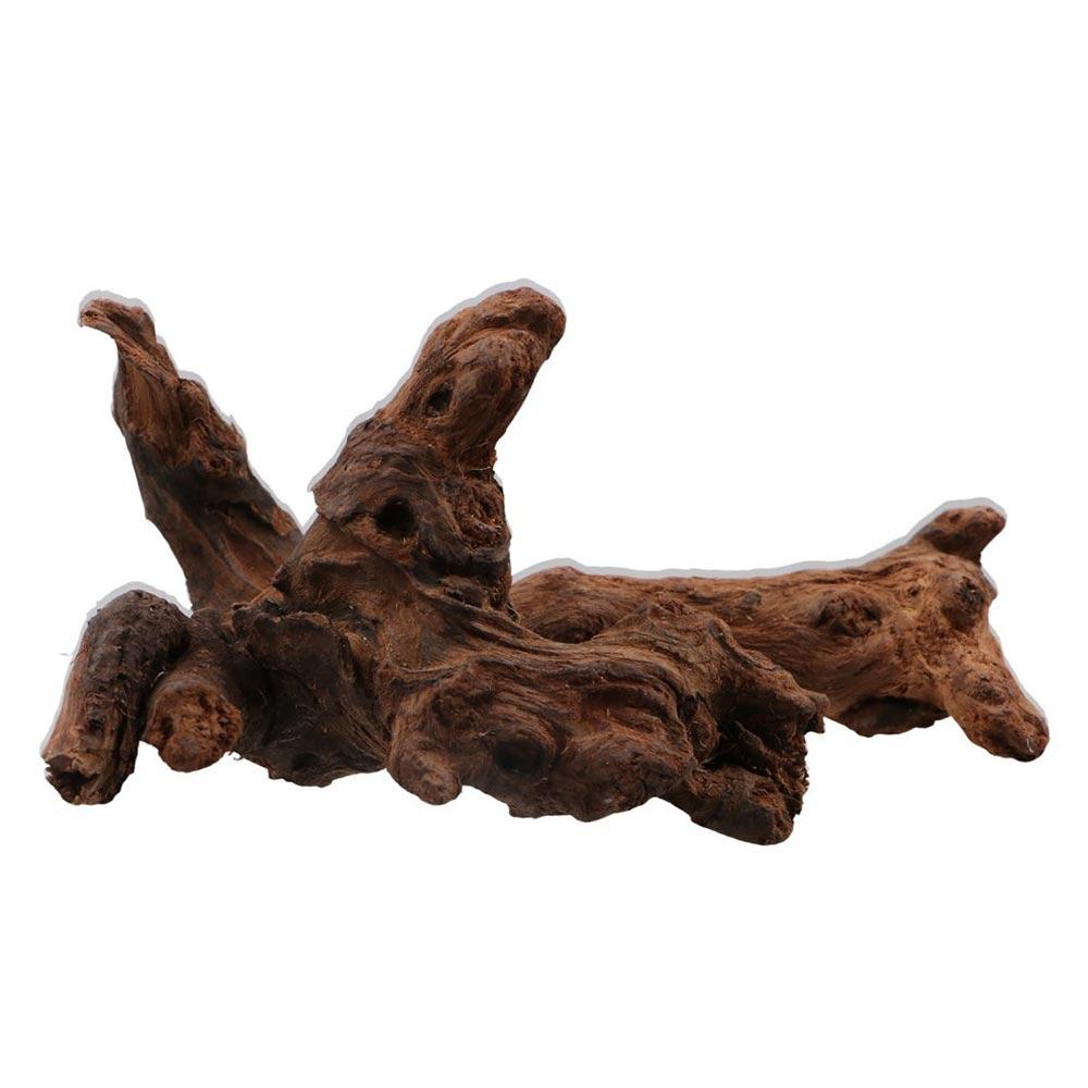 Creative Irregular Shape Coral - Aquarium Planted Substrate ulasan dan harga