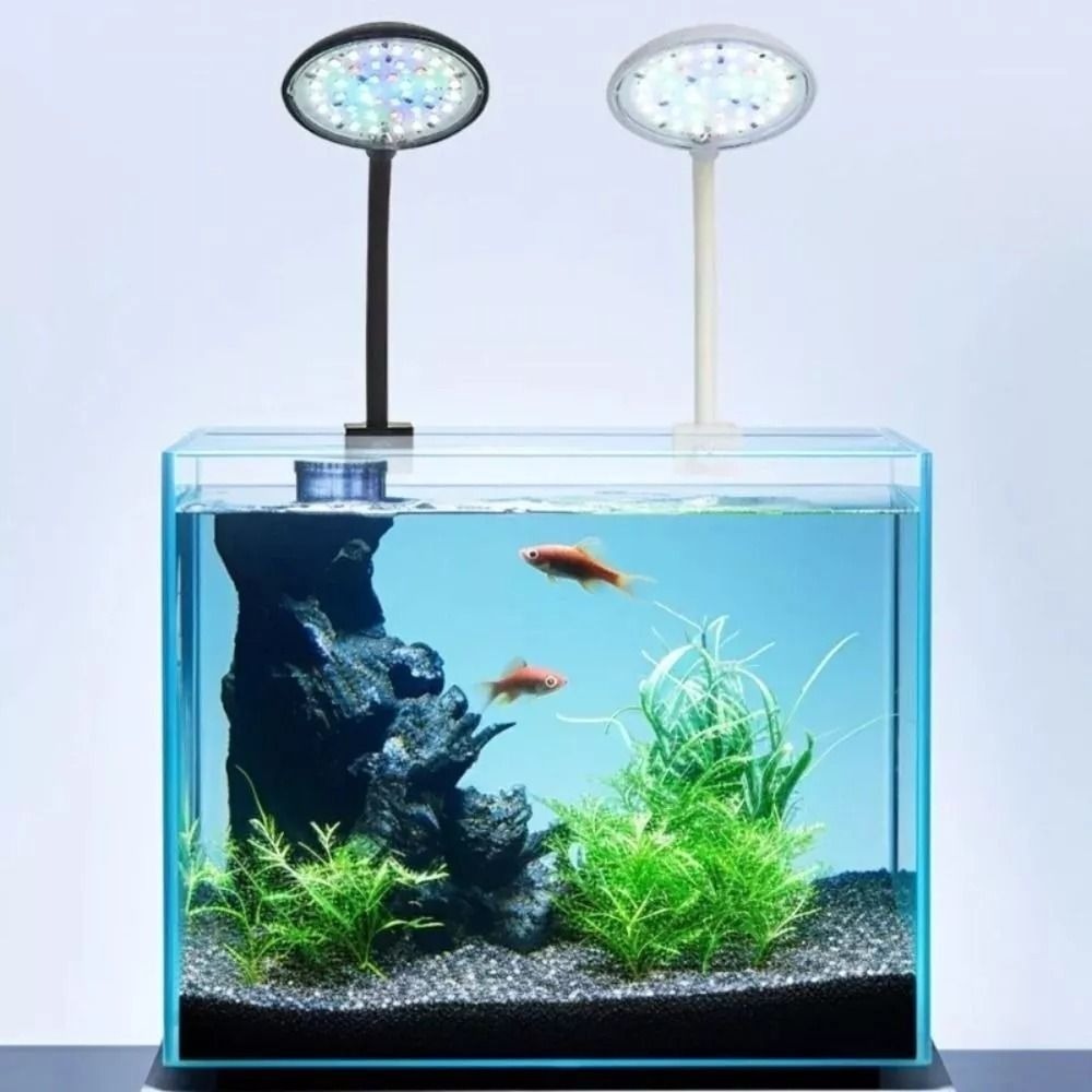 New Mini Fish Tank Clip Lamp 5 - Planted Aquarium Mini ulasan dan harga