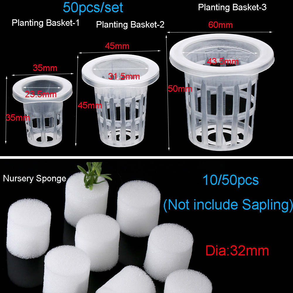 10/50pcs Garden Supplies Aquar - Aquarium Plant Seeds ulasan dan harga