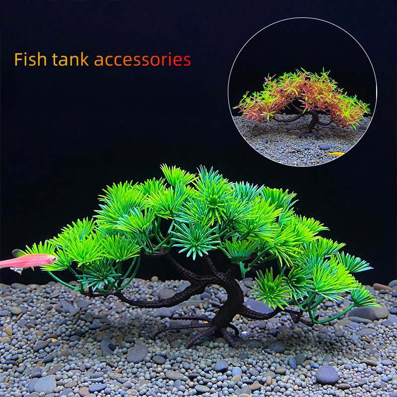 Aquarium bonsai tree, plant, f - Aquarium Plant Seeds ulasan dan harga