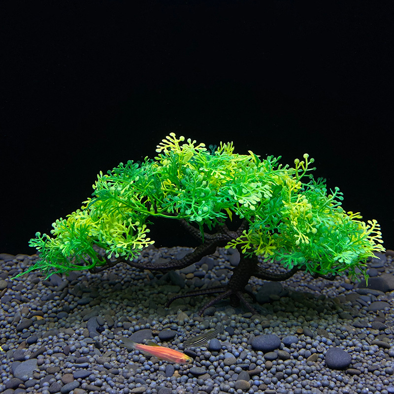 Aquarium bonsai tree, plant, f - Aquarium Plant Seeds ulasan dan harga